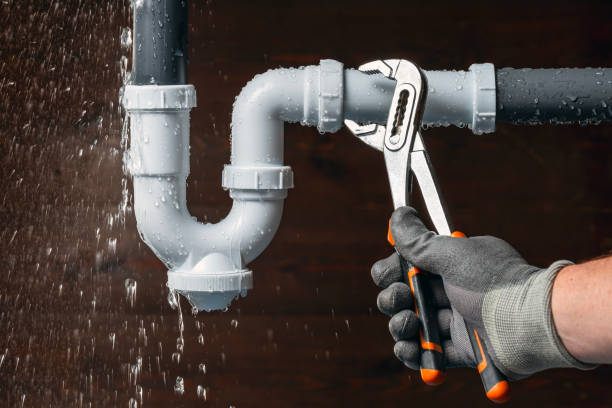 Professional Plumbing technician working in La Conner, WA
